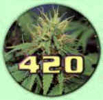 420logo.gif (18842 bytes)